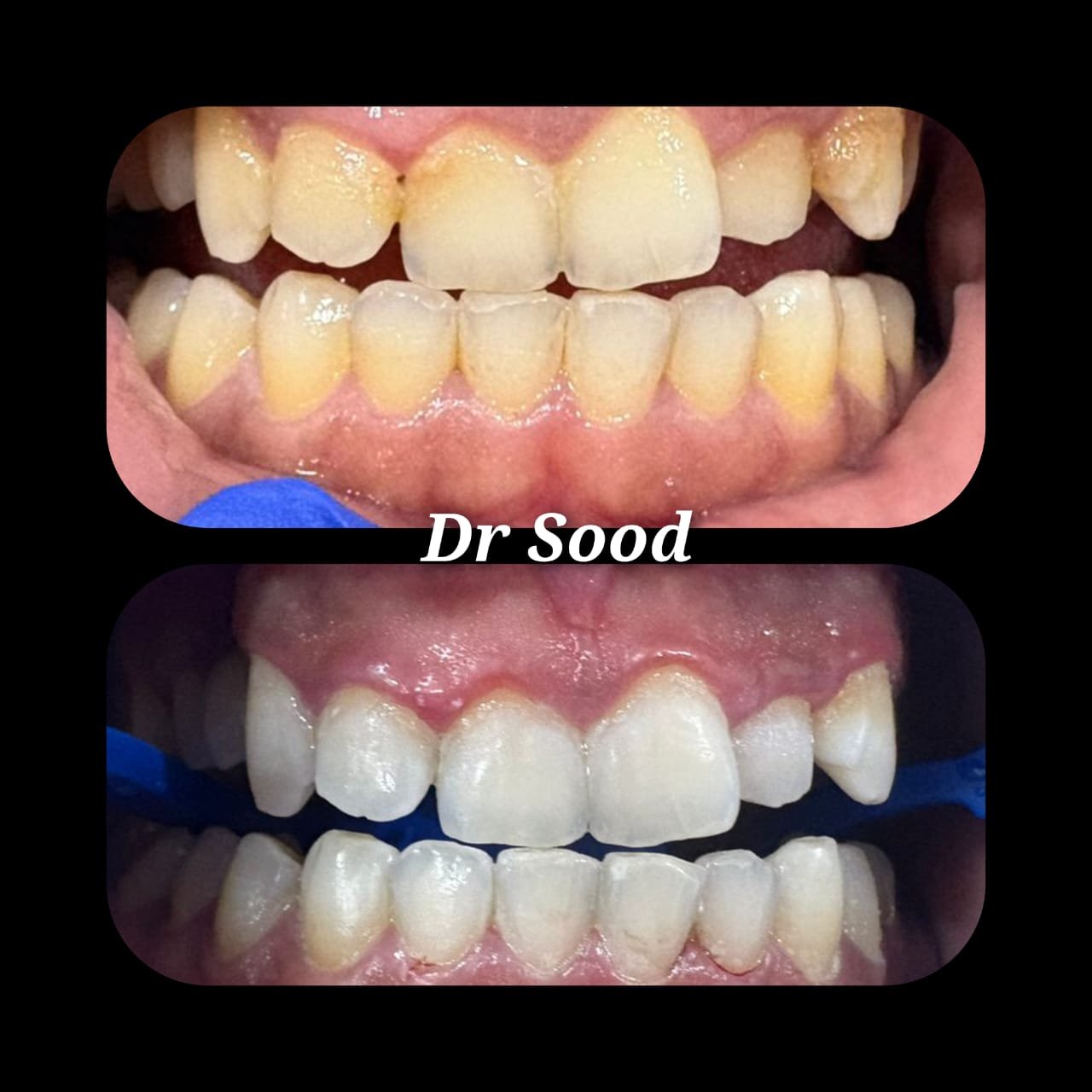 WhatsApp Image 2026 02 02 at 2.08.00 PM