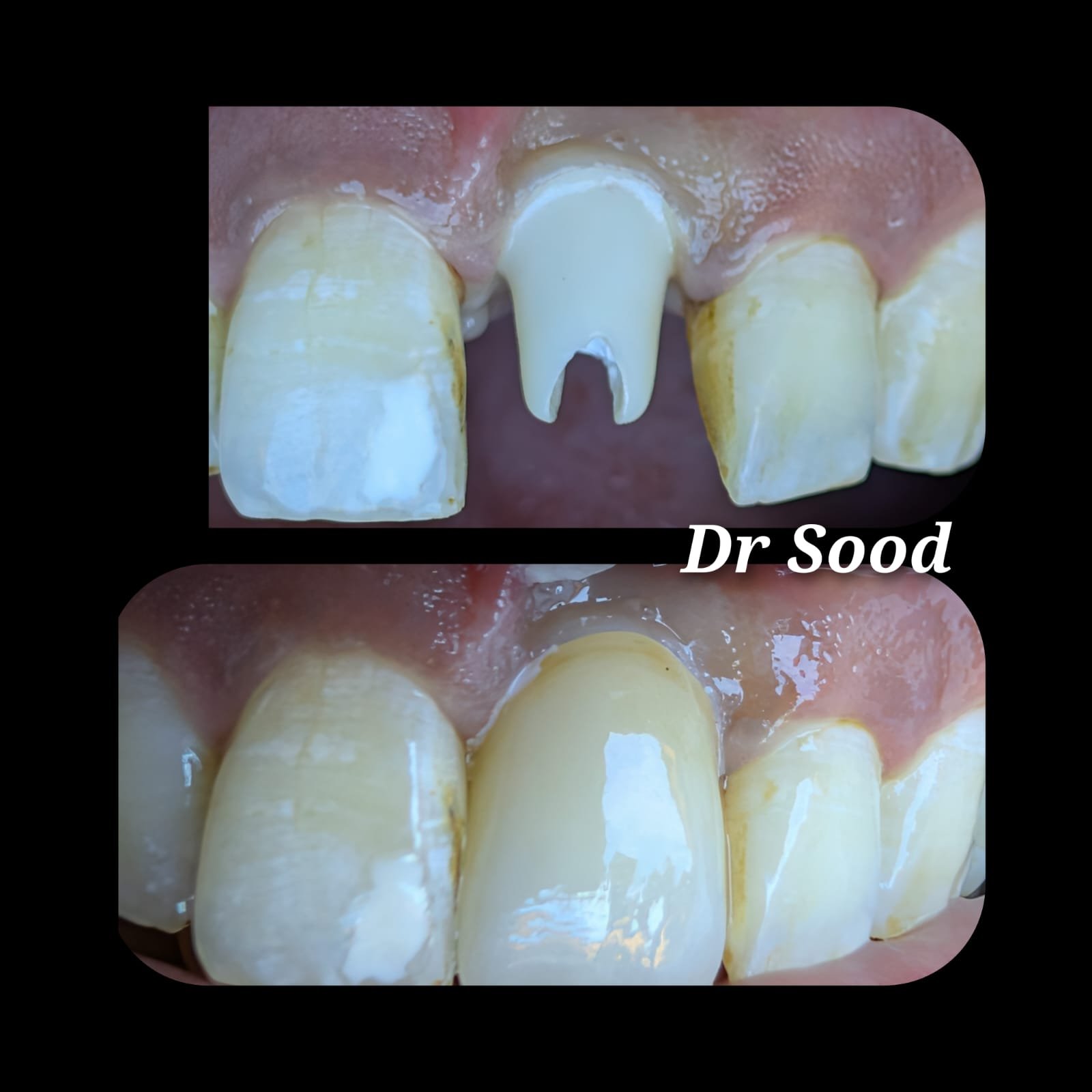 WhatsApp Image 2026 02 28 at 4.09.13 PM